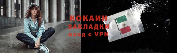 крисы Осинники