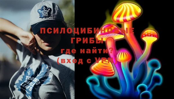крисы Осинники