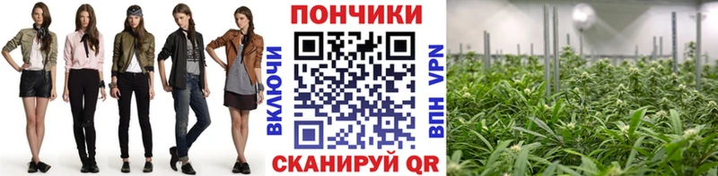 Бошки Шишки тримм  Разумное 